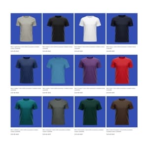 Men's Blank T-Shirt (220GSM) $10 Each + Shipping @ 100 Counts