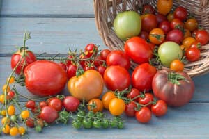 37% off Seeds When You Buy 5 or More Packets + Delivery ($0 with $30 Seed Order) @ Mr Fotherill's Seeds